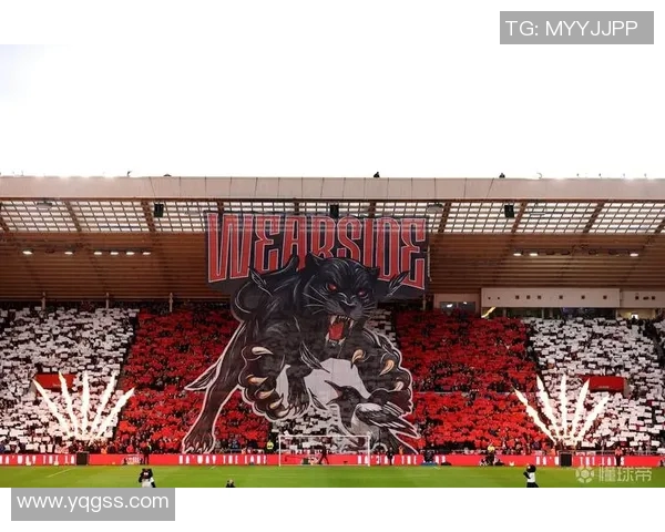 喜鹊主场实力强劲，胜过强敌云达不莱梅