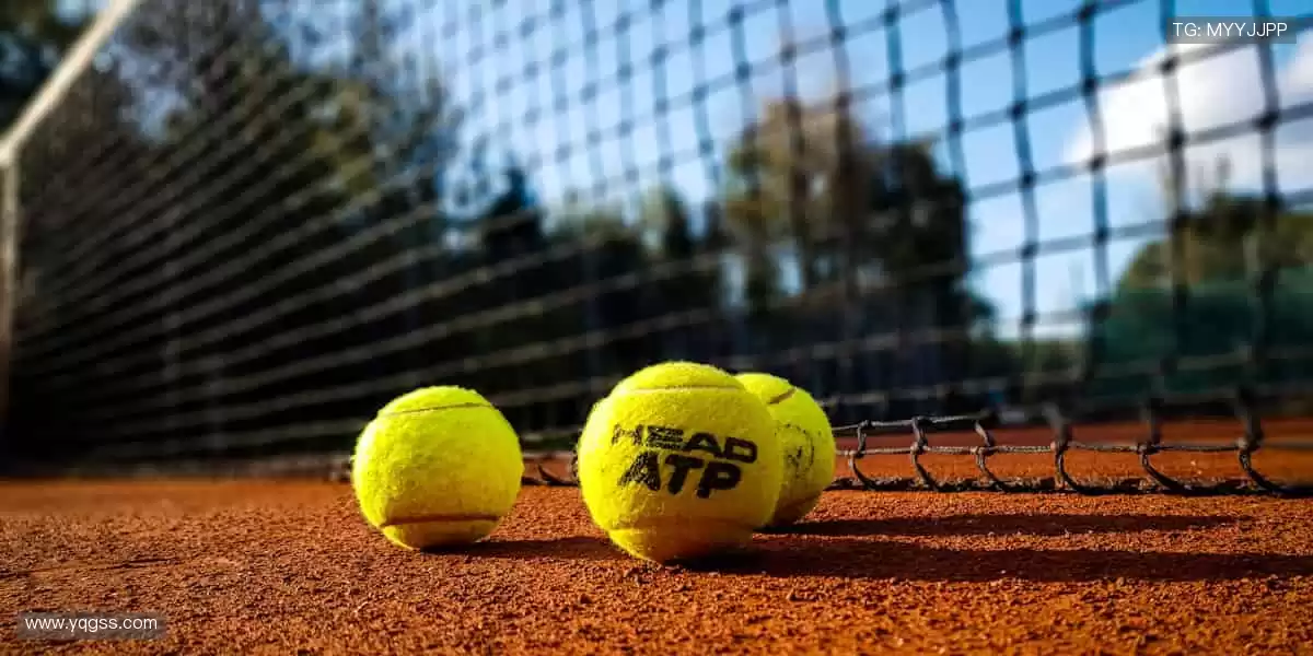 💻多屏同看，实时弹幕互动！锁定【直播平台】，精彩永不掉线📱