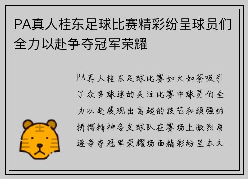PA真人桂东足球比赛精彩纷呈球员们全力以赴争夺冠军荣耀